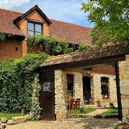 Casa Thea Cheile Nerei Ξενοδοχείο Sokolar Εξωτερικό φωτογραφία