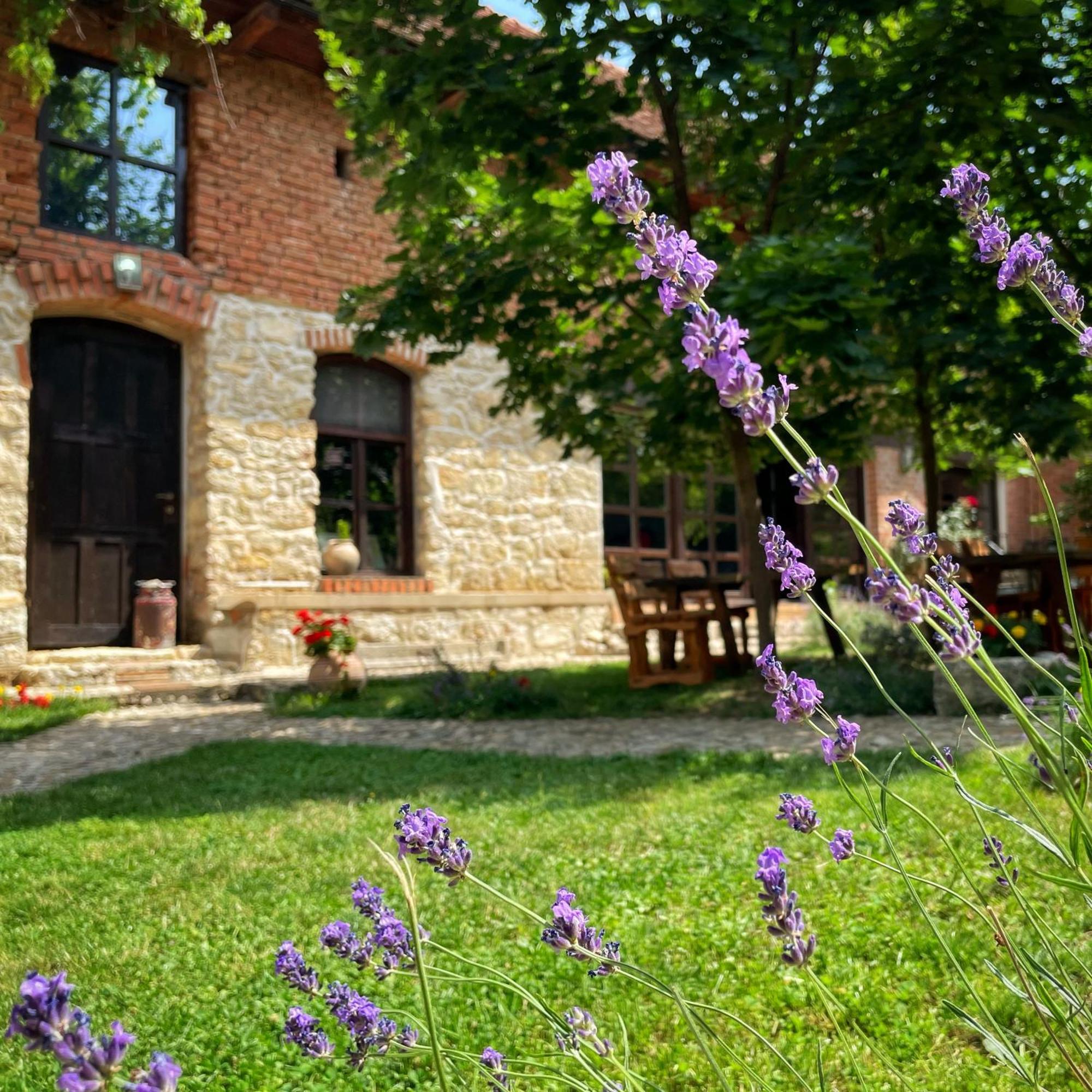 Casa Thea Cheile Nerei Ξενοδοχείο Sokolar Εξωτερικό φωτογραφία